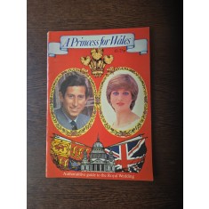 A Princess for Wales - Authoratitive guide to the Royal Wedding20