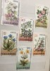 Timbre Serii Romania Plante, Stampilat