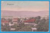 (34) CARTE POSTALA AUSTRO-UNGARIA - PRAGERHOF (AZI IN SLOVENIA), Necirculata, Printata