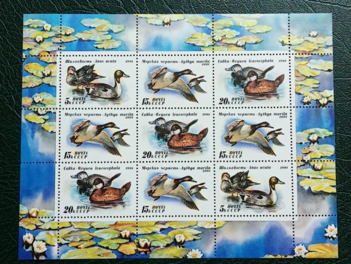 URSS 1991 - rate, bloc neuzat