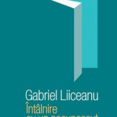 Intalnire cu un necunoscut - Gabriel Liiceanu