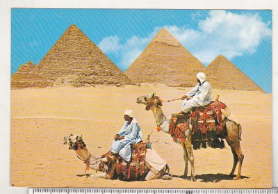 bnk cp Egipt - Beduini langa piramide - necirculata foto