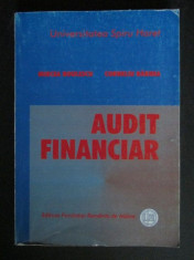 Audit financiar foto