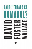 Care-i treaba cu homarul | David Foster Wallace, Black Button Books