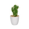 Ghiveci decorativ cu Cactus artificial, 16 cm, ATU-082549, Oem
