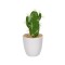 Ghiveci decorativ cu Cactus artificial, 16 cm, ATU-082549