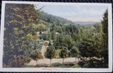 Carte postala, Pitesti, Parcul Trivale, perioada interbelica