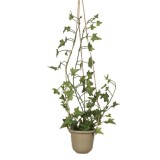 Cumpara ieftin Ghiveci de agatat cu plante de iedera,plastic,48 cm, Oem