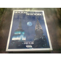 NEW YORK, NEW YORK - JAKE RAJS (CARTE DE FOTOGRAFIE, TEXT IN LIMBA ENGLEZA)