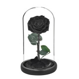 Cumpara ieftin Trandafir criogenat negru bella (&Oslash;8cm) in cupola (10x20cm)