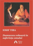 Dumnezeu coboara in suferinta omului | Iosif Tiba, ARCB