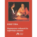 Dumnezeu coboara in suferinta omului | Iosif Tiba