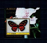 Ajman 1972 - Fluturi din America, colita neuzata
