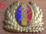 QW14 - Emblema militara / cuc - uscat - anii 1990 - piesa de colectie
