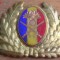 QW14 - Emblema militara / cuc - uscat - anii 1990 - piesa de colectie