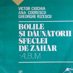 BOLILE ȘI DĂUNĂTORII SFECLEI DE ZAHAR (ALBUM) - VICTOR CIOCHIA, COLAB.