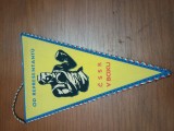 FANION SPORT BOX RD GERMANIA 1984 INTERESANT