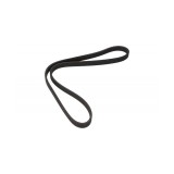 Curea transmisie cu caneluri Audi A3 1996-2003 8L1 6dpk1195