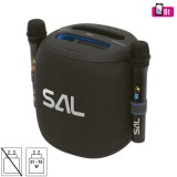 Sistem audio stereo cu 2 microfoane Wireless, 100W, difuzor mid-bass, 2 tweetere, USB/microSD, AUX, efecte LED, negru