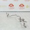 Furtun Combustibil Mercedes E-Class W213 2.0D 2016-2023