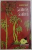 CALATORIE , CALATORII de LAURENT GRAFF , 2008