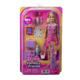 BARBIE FAMILY AND FRIENDS SET DE CALATORIE