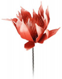 Floare artificiala Protea Roze, H81 cm, poliester, rosu, Excellent Houseware