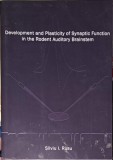 DEVELOPMENT AND PLASTICITY OF SYNAPTIC FUNCTION AT THE RODENT AUDITORY BRAINSTEM-SILVIU I. RUSU-253780