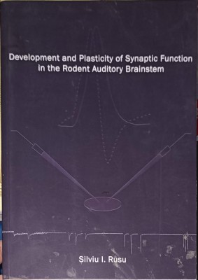 DEVELOPMENT AND PLASTICITY OF SYNAPTIC FUNCTION AT THE RODENT AUDITORY BRAINSTEM-SILVIU I. RUSU-253780 foto