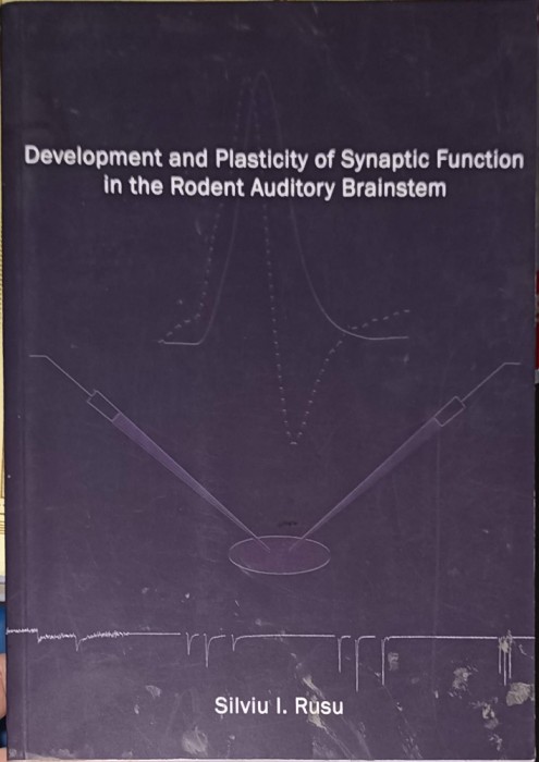 DEVELOPMENT AND PLASTICITY OF SYNAPTIC FUNCTION AT THE RODENT AUDITORY BRAINSTEM-SILVIU I. RUSU-253780