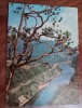 QW27 V - Carte postala - tematica turism - vedere - Romania - Valea Oltului 8, Circulata, Printata, Olt