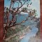 QW27 V - Carte postala - tematica turism - vedere - Romania - Valea Oltului 8