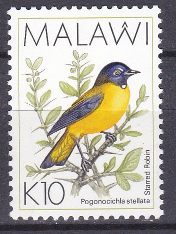 DB1 Fauna Pasari Malawi 1994 1 v. MNH