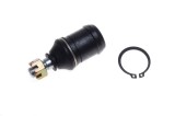 Pivot Inferior ATV 200 B MX_NEW ZQ5129, Piese ATV, Pivot Roti ATV