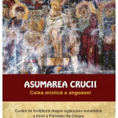 Asumarea crucii. Calea mistica a angoasei - Michel Laroche