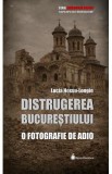 Distrugerea Bucurestiului. O fotografie de adio - Lucia Hossu-Longin