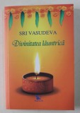 DIVINITATEA LAUNTRICA de SRI VASUDEVA , 2019