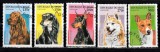 A12 S1 8 - Timbre foarte vechi - Benin - rase de caini, Fauna, Stampilat