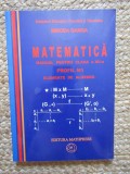 Matematică. Manual pentru clasa a XII-a. Profil M1. Elemente de algebră - Mircea Ganga