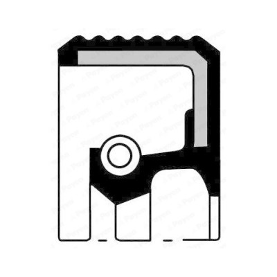 Payen Simering, arbore cotit foto