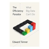 The efficiency paradox