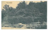 3349 - BOCSA MONTANA, Caras-Severin, Park, Romania - old postcard - used - 1915