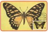 Sao Tome 1979 - fluturi, Carte Maxima