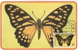 Sao Tome 1979 - fluturi, Carte Maxima
