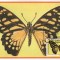 Sao Tome 1979 - fluturi, Carte Maxima
