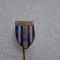 insigna U Craiova