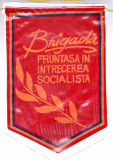 AMS# - FANION BRIGADA FRUNTASA IN INTRECEREA SOCIALISTA, format mare