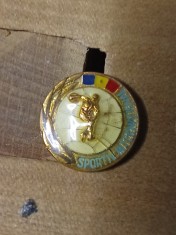 Insigne (3) Sportiv International
