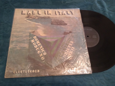 VINIL MADE IN ITALY EDE 02785 DISC IN STARE FB/EX foto