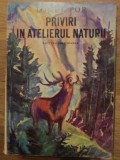 PRIVIRI IN ATELIERUL NATURII-IONEL POP-269597